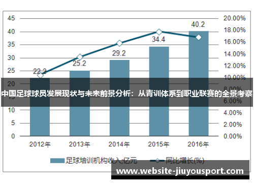 中国足球球员发展现状与未来前景分析：从青训体系到职业联赛的全景考察